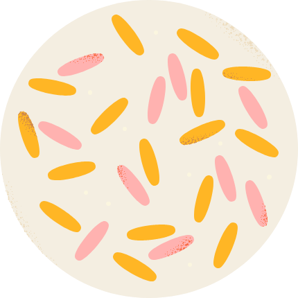 illustration of active Bacillus spores to show benefits of probiotics