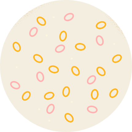 illustration of our activated probiotic Bacillus spores