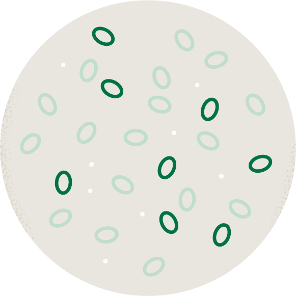 illustration of inactive probiotic spores