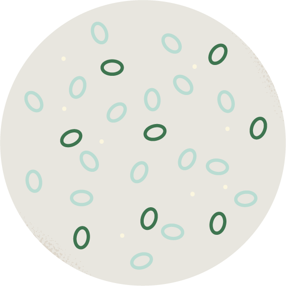 illustration of probiotic spores