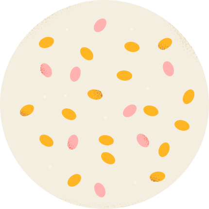 illustration of Bacillus spores showing benefits of probiotics